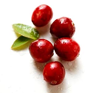 http://www.pacifichealth.info/images/cranberries.jpg
